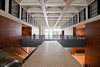 《艾尔登法环》20+分钟实际演示 剧透慎入