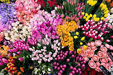 《符文工厂5》全球出货量和数字销量突破50万